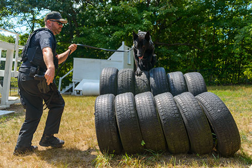 Boston Police K-9 training